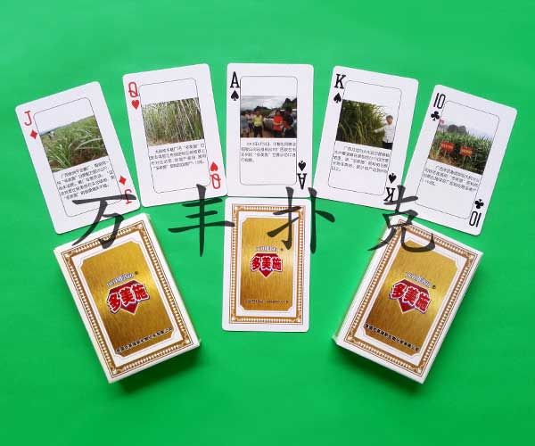 建設農資類撲克